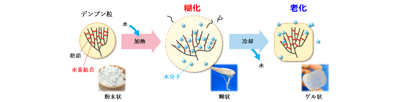 デンプン グリコ栄養食品