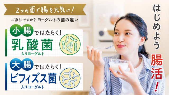 2つの菌で腸を元気に　小腸ではたらく乳酸菌　大腸で働くビフィズス菌　はじめよう腸活　ヨーグルトを食べている若い女性